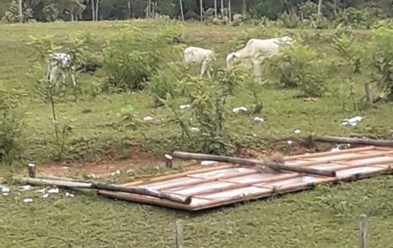 Madeiras que sustentavam outdoor foram cortadas. (Divulgação)