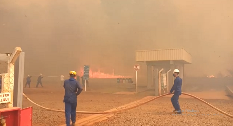 Fogo atingiu área perto de frigorífico