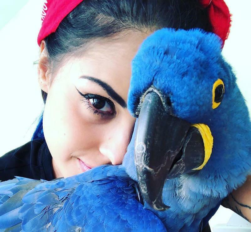 Foto: Reprodução / Instagram