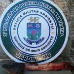 Jaú estava sem carne e couro. (Divulgação | PMA)