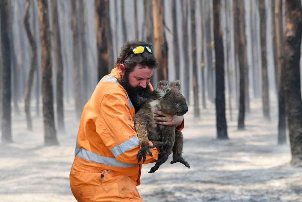 (via Reuters/David Mariuz)
