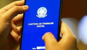 Saldo acumulado no ano teve crescimento de 7