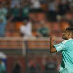 Foto: assessoria de imprensa do Palmeiras