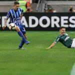 (Foto: Divulgação/Palmeiras)