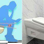 Foto: StandardToilet | Divulgação