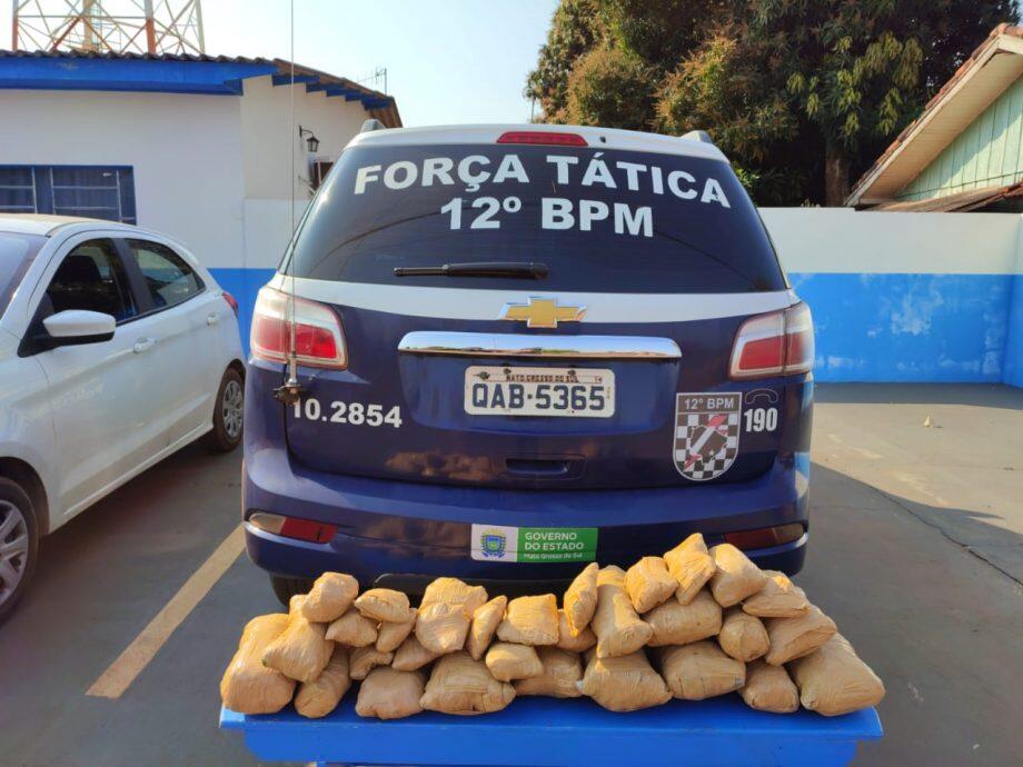 Divulgação