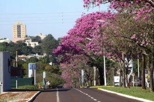 O objetivo é fomentar a cultura da cidade.(Foto:A.Frota)