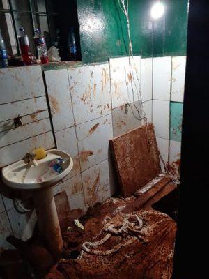 Divulgação/MSemFoco