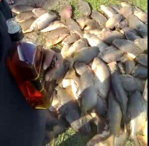 Suspeito de pesca predatória publicou vídeo nas redes sociais. Foto: Divulgação