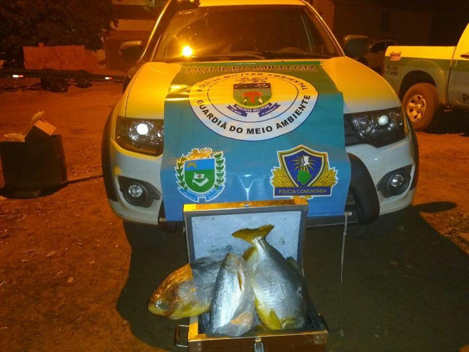 (Foto: Divulgação PMA)