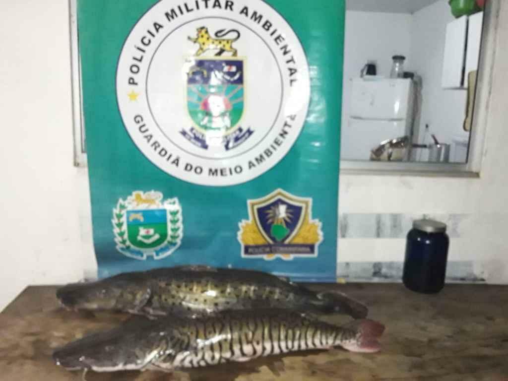 Foto: Divulgação/ PMA