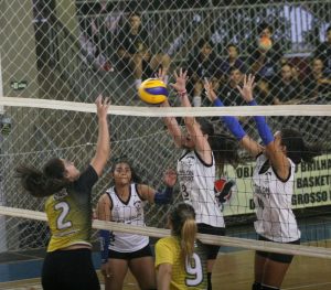 (Foto: Divulgação/FVMS)