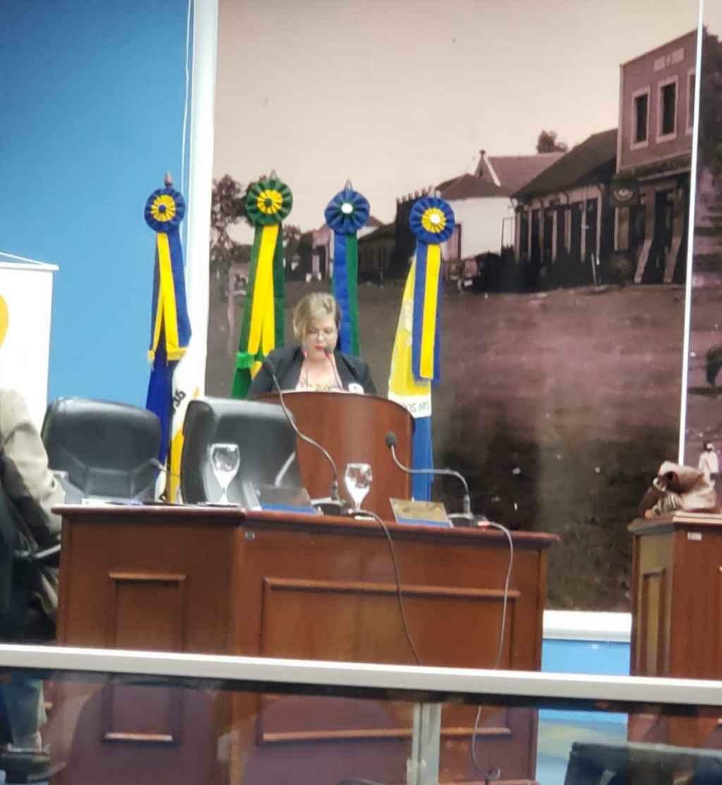A presidente da categoria ocupou a tribuna da câmara. (Foto: Marcos Morandi)