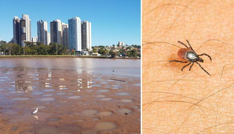 Obras de dessassoreamento do parque das Nações pode ter ocasionado desequilíbrio que causou infestação de carrapatos (Foto: Daiany Albuquerque | Arquivo Midiamax)