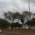 Foto: Minamar Junior/Midiamax