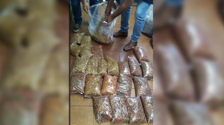(Foto: Divulgação/Procon-CG)