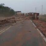 Carga de eucalipto espalhou-se pela rodovia | Foto: Reprodução | Youtube