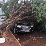 Foto: Alvorada Informa