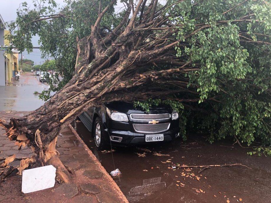Foto: Alvorada Informa