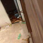 Casa abandonada tem dois cachorros nela. (Foto: Fala Povo/Midiamax)