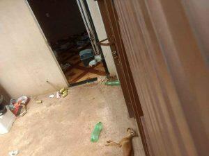Casa abandonada tem dois cachorros nela. (Foto: Fala Povo/Midiamax)
