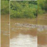(Foto: Reprodução