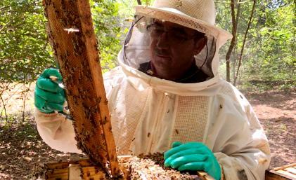 Foto: Iagro | Divulgação