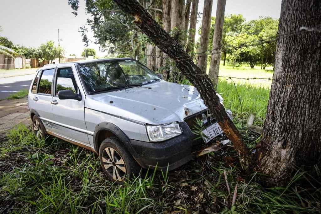 Carro só parou na árvore (Foto: Henrique Arakaki