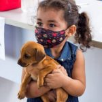 Filhotes e adultos estarão disponíveis para adoção
