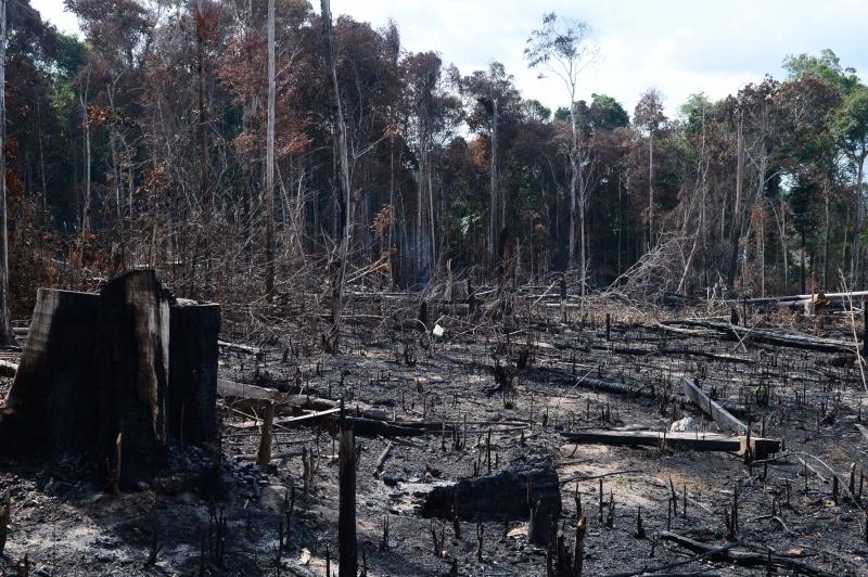 Imagem Ilustrativa. Foto: Agência Brasil