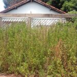 Moradores reclamam de casa abandonada e dizem que denúncia não resolve