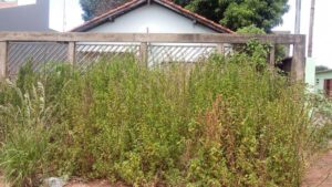 Moradores reclamam de casa abandonada e dizem que denúncia não resolve