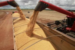 Exportações de MS aumentam 28% e balança comercial tem superávit de US$ 666,8 milhões