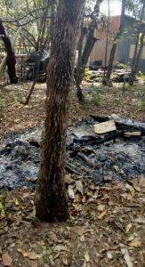 Dono de rancho foi multado por desmatar vegetação. Foto: Divulgação