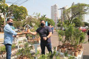 Reprodução