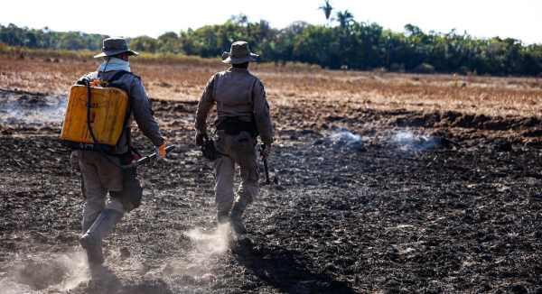 Militares durante combate ao incêndio na operação
