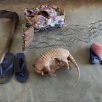 Carcaça do animal e outros objetos apreendidos. Foto: Divulgação