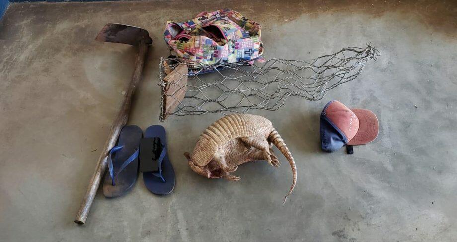 Carcaça do animal e outros objetos apreendidos. Foto: Divulgação