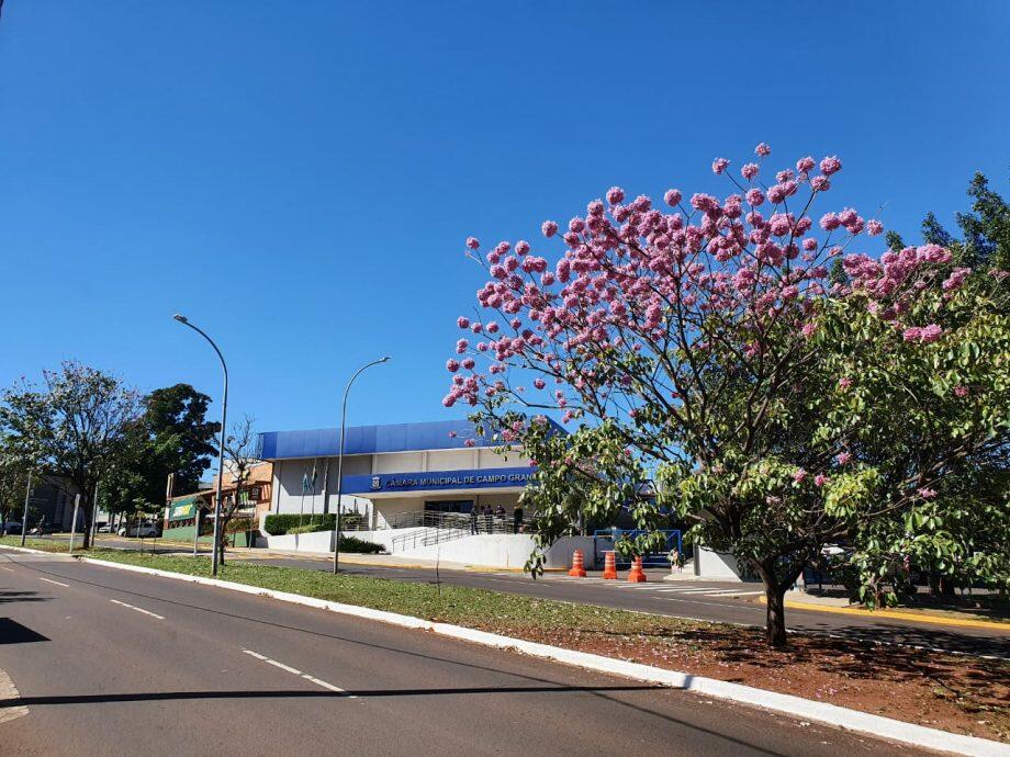 Divulgação
