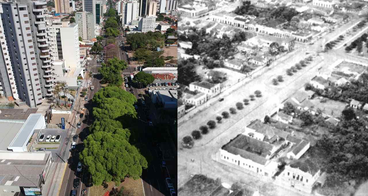 Foto atual comparada à antiga mostra evolução das figueiras no canteiro central