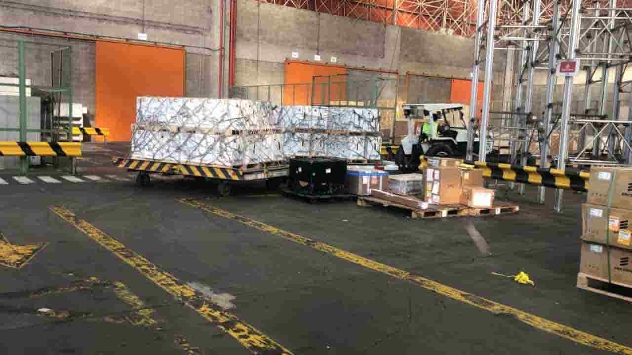 1º carregamento chegou na manhã deste domingo