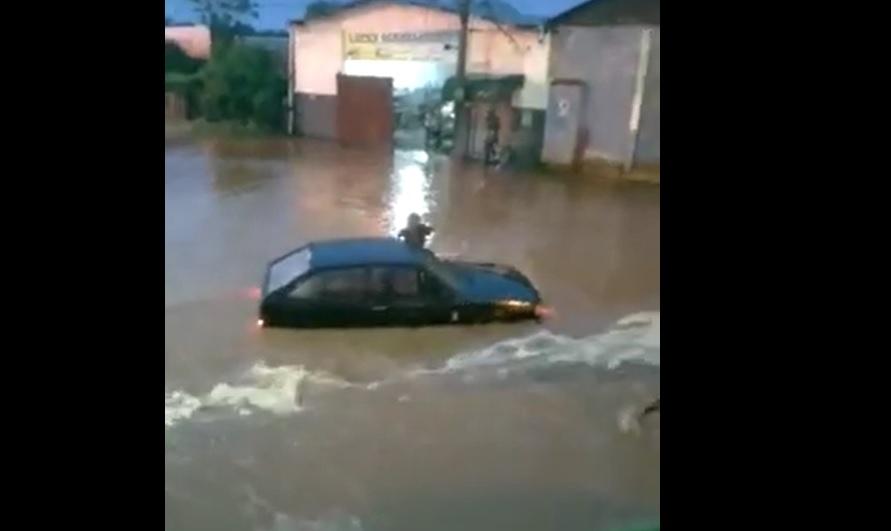 Reprodução