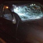 Para-brisa de carro ficou destruído após colidir em vaca. (Foto: JPNews/ Divulgação)