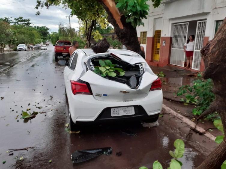 (Diário Online)