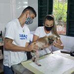 Castração é importante para saúde dos animais e evita abandono