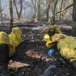 Incêndio no Parque Cerro Corá mobilizou bombeiros do Paraguai e também do Brasil
