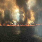 Reservas naturais do Paraguai são as mais atingidas pelos focos de incêndio