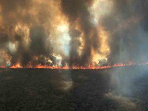 Reservas naturais do Paraguai são as mais atingidas pelos focos de incêndio