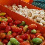 Tomate sofreu maior aumento na variação nos últimos 12 meses