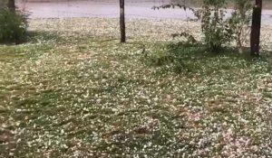 Parte do gramado de uma residência ficou branco com o granizo. (Foto: Reprodução
